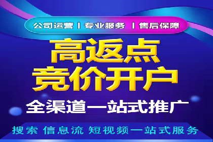 某品牌SEM广告投放的A/B测试与优化